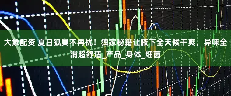 大象配资 夏日狐臭不再扰！独家秘籍让腋下全天候干爽，异味全消超舒适_产品_身体_细菌