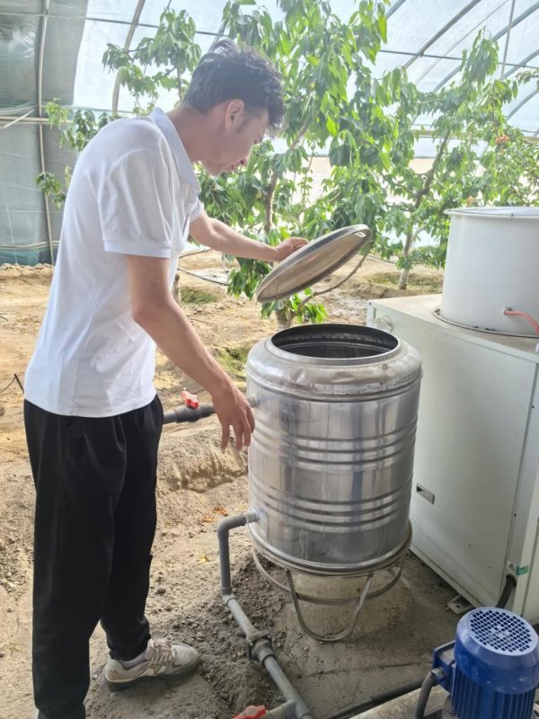 顺阳网 帕米尔高原的樱桃如何实现身价倍增?