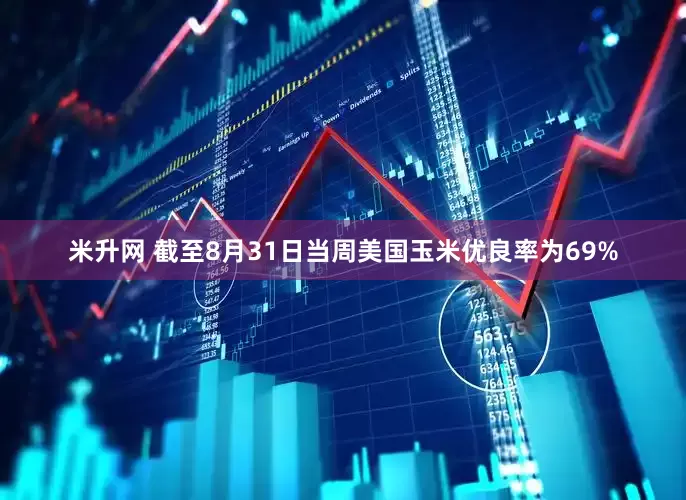 米升网 截至8月31日当周美国玉米优良率为69%